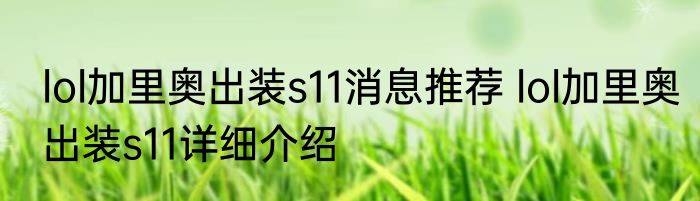 lol加里奥出装s11消息推荐 lol加里奥出装s11详细介绍