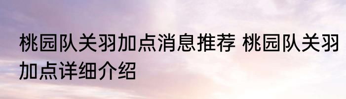 桃园队关羽加点消息推荐 桃园队关羽加点详细介绍