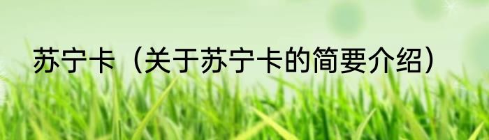 苏宁卡（关于苏宁卡的简要介绍）