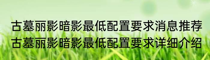 zn（关于zn的简要介绍）