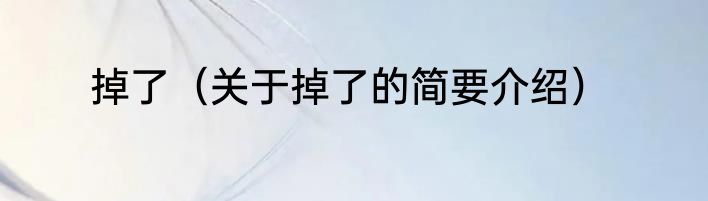 掉了（关于掉了的简要介绍）