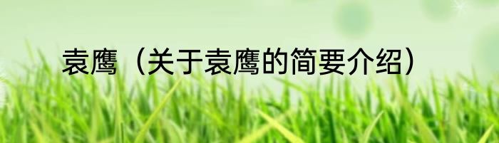 袁鹰（关于袁鹰的简要介绍）