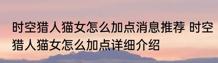 时空猎人猫女怎么加点消息推荐 时空猎人猫女怎么加点详细介绍