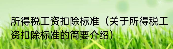 所得税工资扣除标准（关于所得税工资扣除标准的简要介绍）