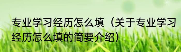 专业学习经历怎么填（关于专业学习经历怎么填的简要介绍）