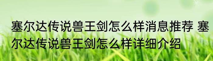 塞尔达传说兽王剑怎么样消息推荐 塞尔达传说兽王剑怎么样详细介绍