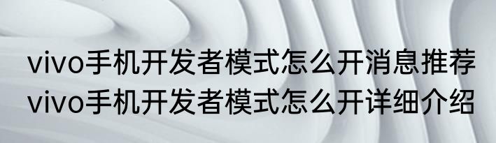 vivo手机开发者模式怎么开消息推荐 vivo手机开发者模式怎么开详细介绍