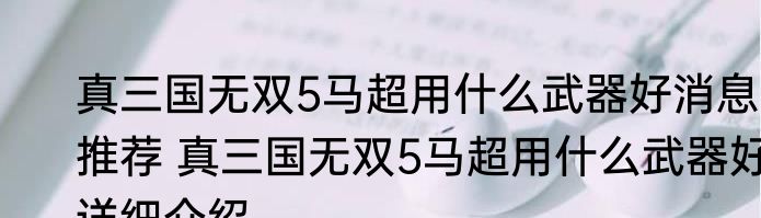 真三国无双5马超用什么武器好消息推荐 真三国无双5马超用什么武器好详细介绍