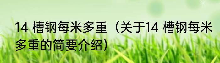 14 槽钢每米多重（关于14 槽钢每米多重的简要介绍）