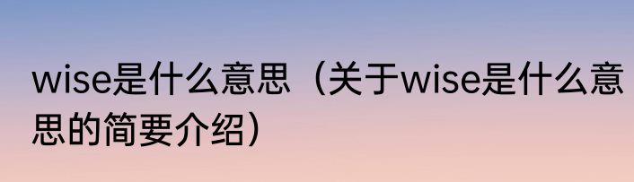 wise是什么意思（关于wise是什么意思的简要介绍）