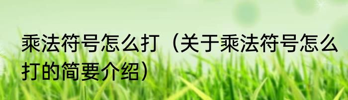 乘法符号怎么打（关于乘法符号怎么打的简要介绍）