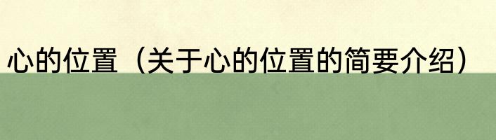心的位置（关于心的位置的简要介绍）