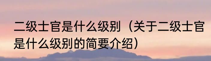 二级士官是什么级别（关于二级士官是什么级别的简要介绍）