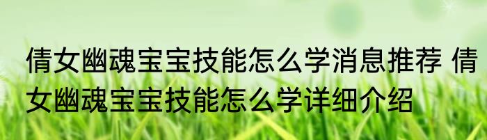 倩女幽魂宝宝技能怎么学消息推荐 倩女幽魂宝宝技能怎么学详细介绍