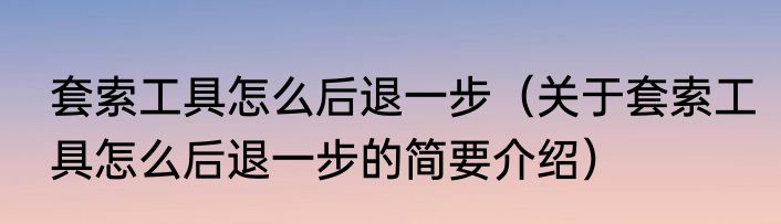 套索工具怎么后退一步（关于套索工具怎么后退一步的简要介绍）
