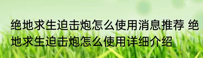 火影之穿成宇智波斑（关于火影之穿成宇智波斑的简要介绍）