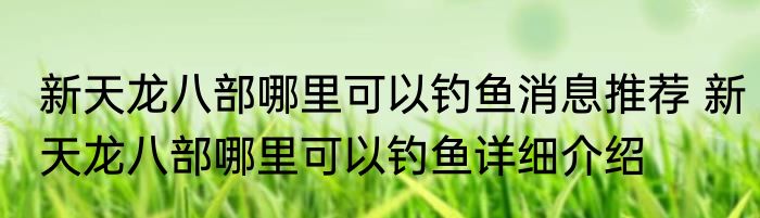 新天龙八部哪里可以钓鱼消息推荐 新天龙八部哪里可以钓鱼详细介绍