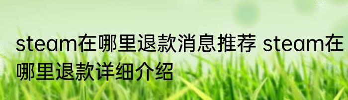 steam在哪里退款消息推荐 steam在哪里退款详细介绍