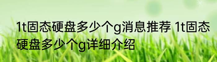 1t固态硬盘多少个g消息推荐 1t固态硬盘多少个g详细介绍