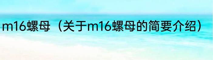 m16螺母（关于m16螺母的简要介绍）