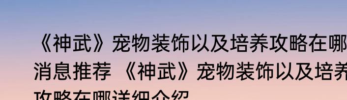 《神武》宠物装饰以及培养攻略在哪消息推荐 《神武》宠物装饰以及培养攻略在哪详细介绍