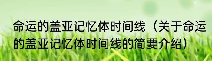 命运的盖亚记忆体时间线（关于命运的盖亚记忆体时间线的简要介绍）
