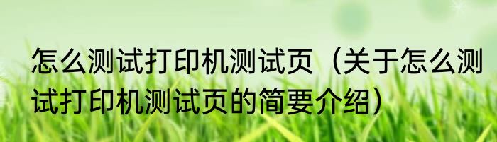 怎么测试打印机测试页（关于怎么测试打印机测试页的简要介绍）