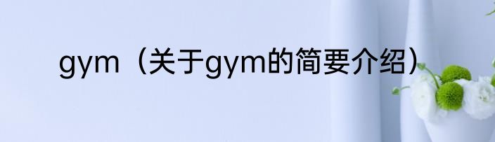 gym（关于gym的简要介绍）