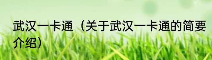 武汉一卡通（关于武汉一卡通的简要介绍）