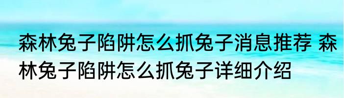 森林兔子陷阱怎么抓兔子消息推荐 森林兔子陷阱怎么抓兔子详细介绍