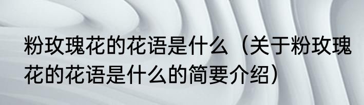 粉玫瑰花的花语是什么（关于粉玫瑰花的花语是什么的简要介绍）