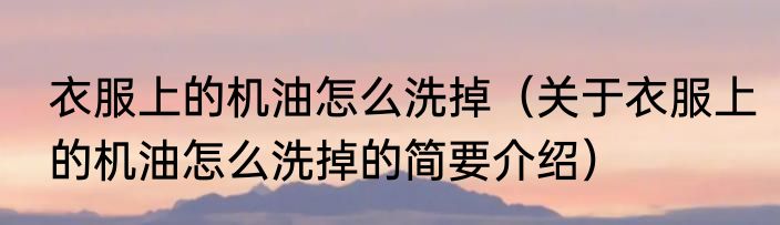 衣服上的机油怎么洗掉（关于衣服上的机油怎么洗掉的简要介绍）