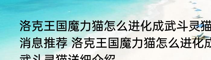 洛克王国魔力猫怎么进化成武斗灵猫消息推荐 洛克王国魔力猫怎么进化成武斗灵猫详细介绍