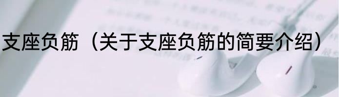 支座负筋（关于支座负筋的简要介绍）