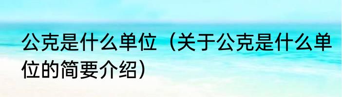 公克是什么单位（关于公克是什么单位的简要介绍）