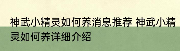 神武小精灵如何养消息推荐 神武小精灵如何养详细介绍
