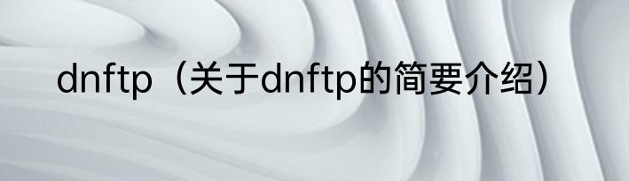 dnftp（关于dnftp的简要介绍）