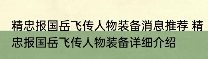 精忠报国岳飞传人物装备消息推荐 精忠报国岳飞传人物装备详细介绍