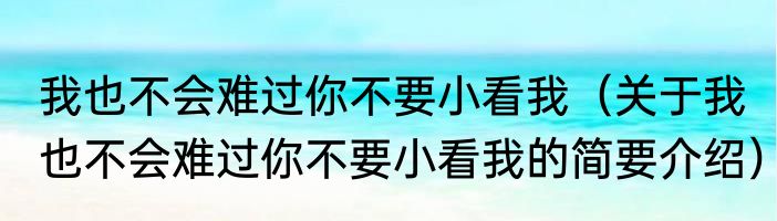 我也不会难过你不要小看我（关于我也不会难过你不要小看我的简要介绍）