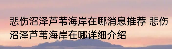 悲伤沼泽芦苇海岸在哪消息推荐 悲伤沼泽芦苇海岸在哪详细介绍
