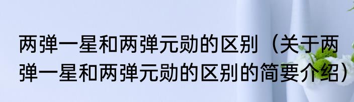 两弹一星和两弹元勋的区别（关于两弹一星和两弹元勋的区别的简要介绍）