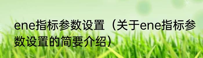ene指标参数设置（关于ene指标参数设置的简要介绍）