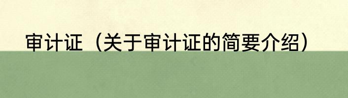 审计证（关于审计证的简要介绍）