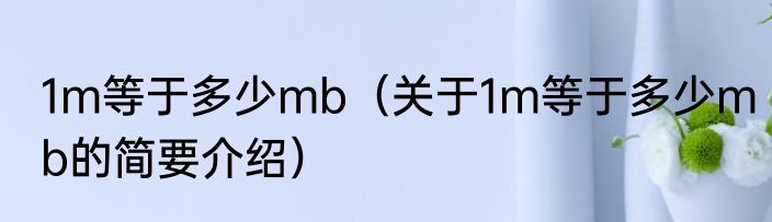 1m等于多少mb（关于1m等于多少mb的简要介绍）