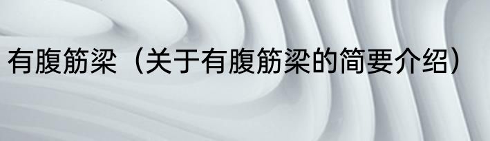 有腹筋梁（关于有腹筋梁的简要介绍）