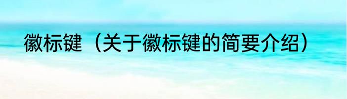 徽标键（关于徽标键的简要介绍）