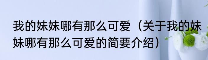 我的妹妹哪有那么可爱（关于我的妹妹哪有那么可爱的简要介绍）