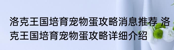 洛克王国培育宠物蛋攻略消息推荐 洛克王国培育宠物蛋攻略详细介绍