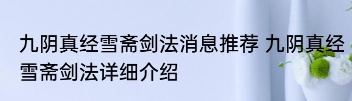 九阴真经雪斋剑法消息推荐 九阴真经雪斋剑法详细介绍