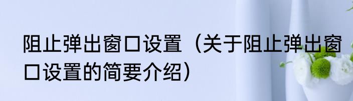 阻止弹出窗口设置（关于阻止弹出窗口设置的简要介绍）
